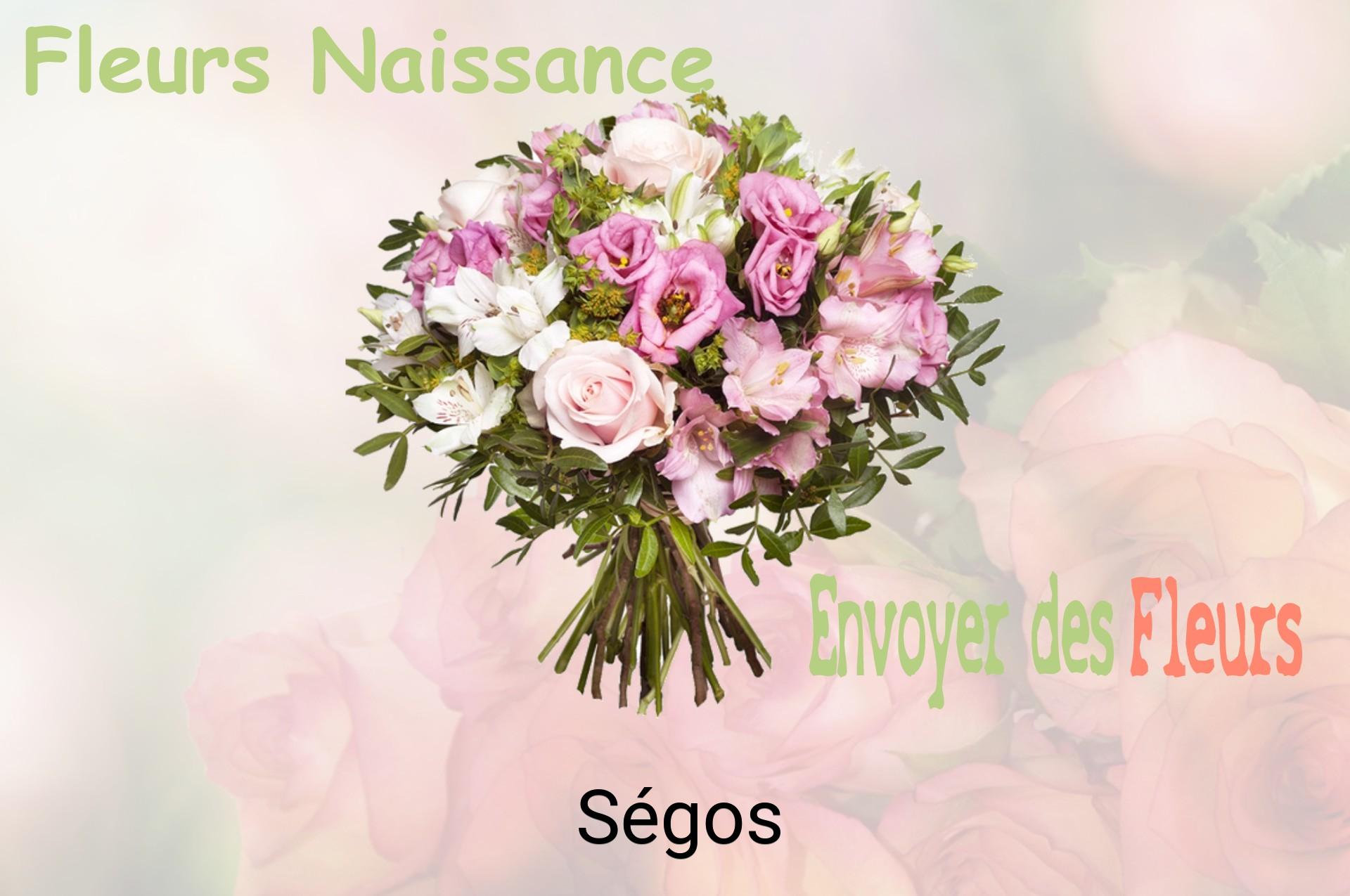 Bouquet de fleurs de naissance livré à Ségos